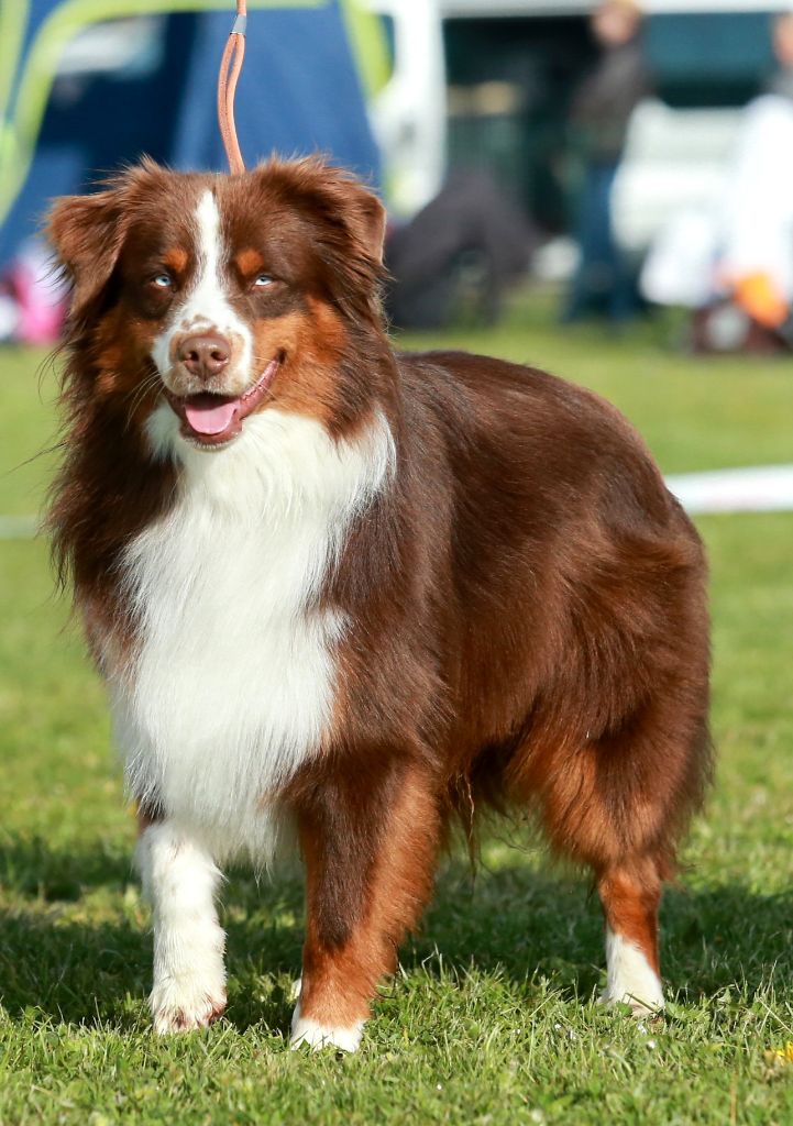 Seiko des Joyaux Des Ki Millacs